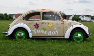 VW Käfer auf einer Wiese mit Aufschrift 'Tuesday'
